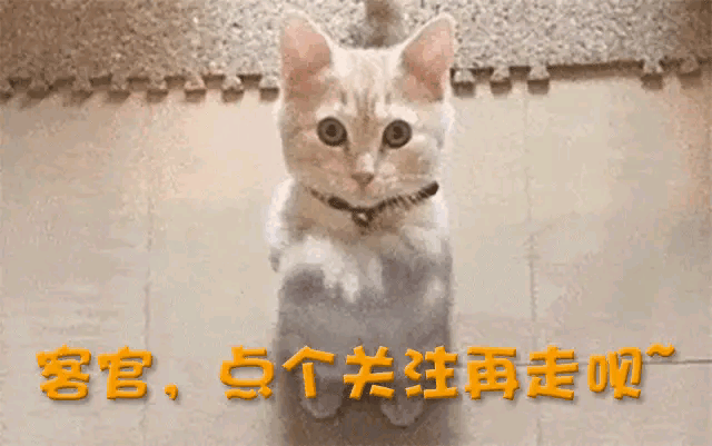 65岁终生未婚，无性无爱，与青灯古佛相伴，被母亲毁掉一生