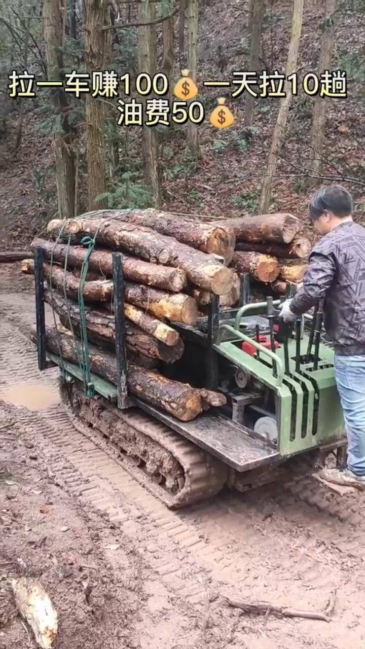 山区拉木头车,履带爬山虎运输车,解决搬运难题,发财致富全靠它!