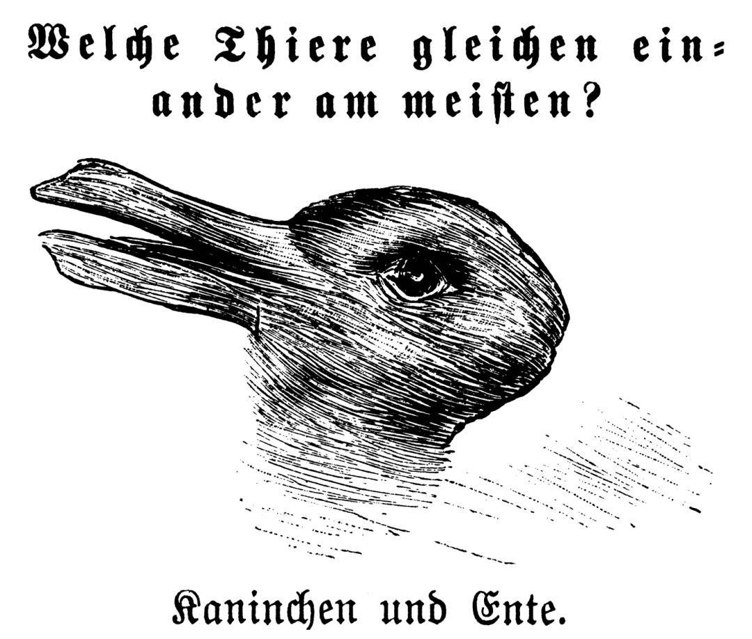 鸭兔图的哲学家是谁图片