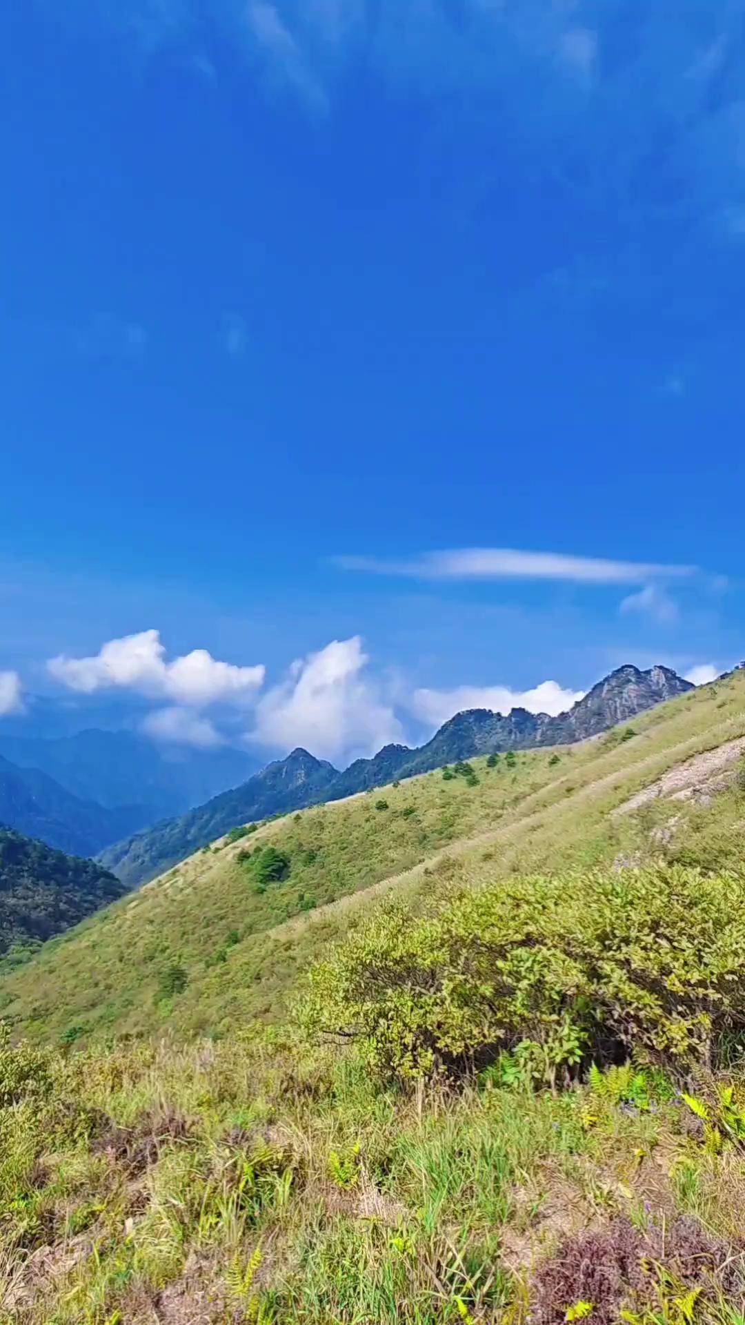 户外徒步登山哈士奇妮妮靖安县 白崖山麒麟峰宜春市 白崖山旅行推荐官