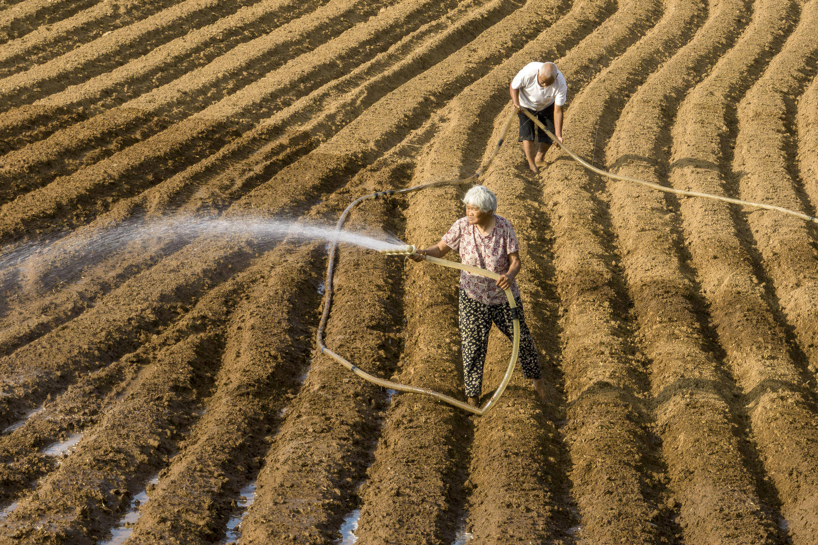 有河南农户一个人浇地60亩 南涝北旱 有广东居民一周没见到太阳 之下