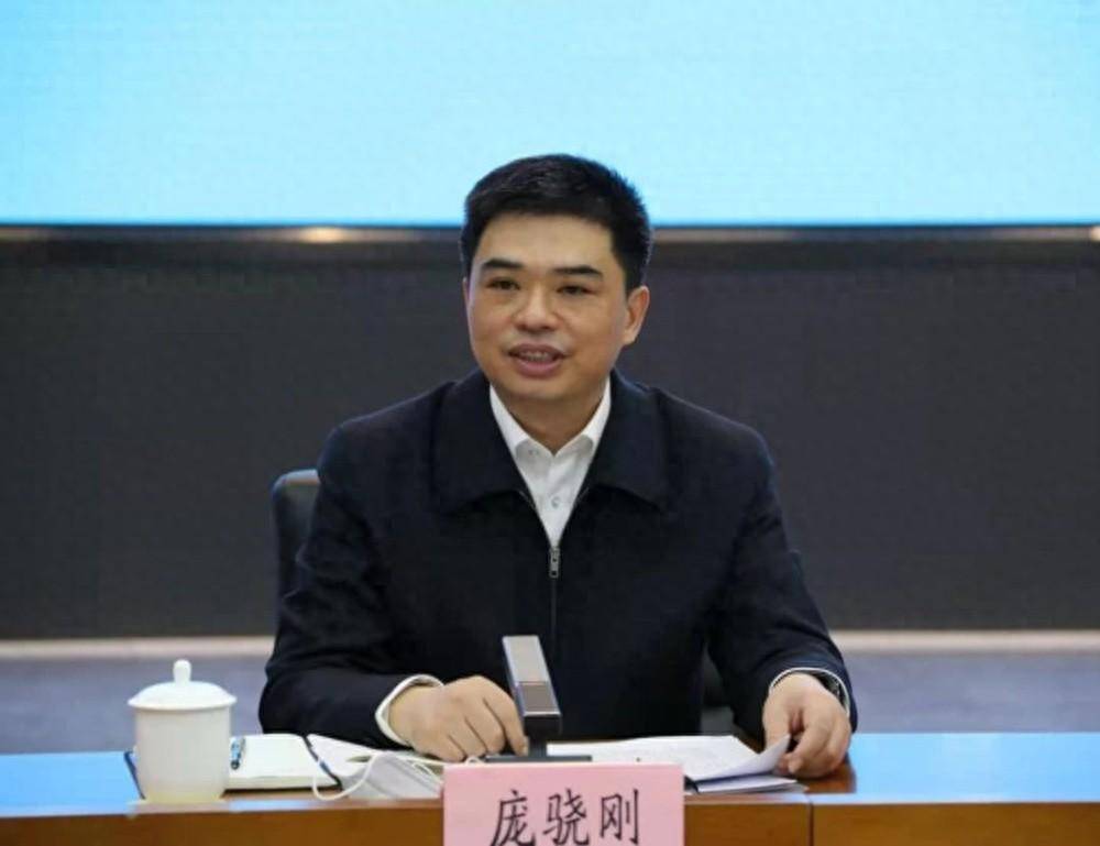 国家电网总经理调整，52岁庞骁刚“接棒”_公司_国有_中国