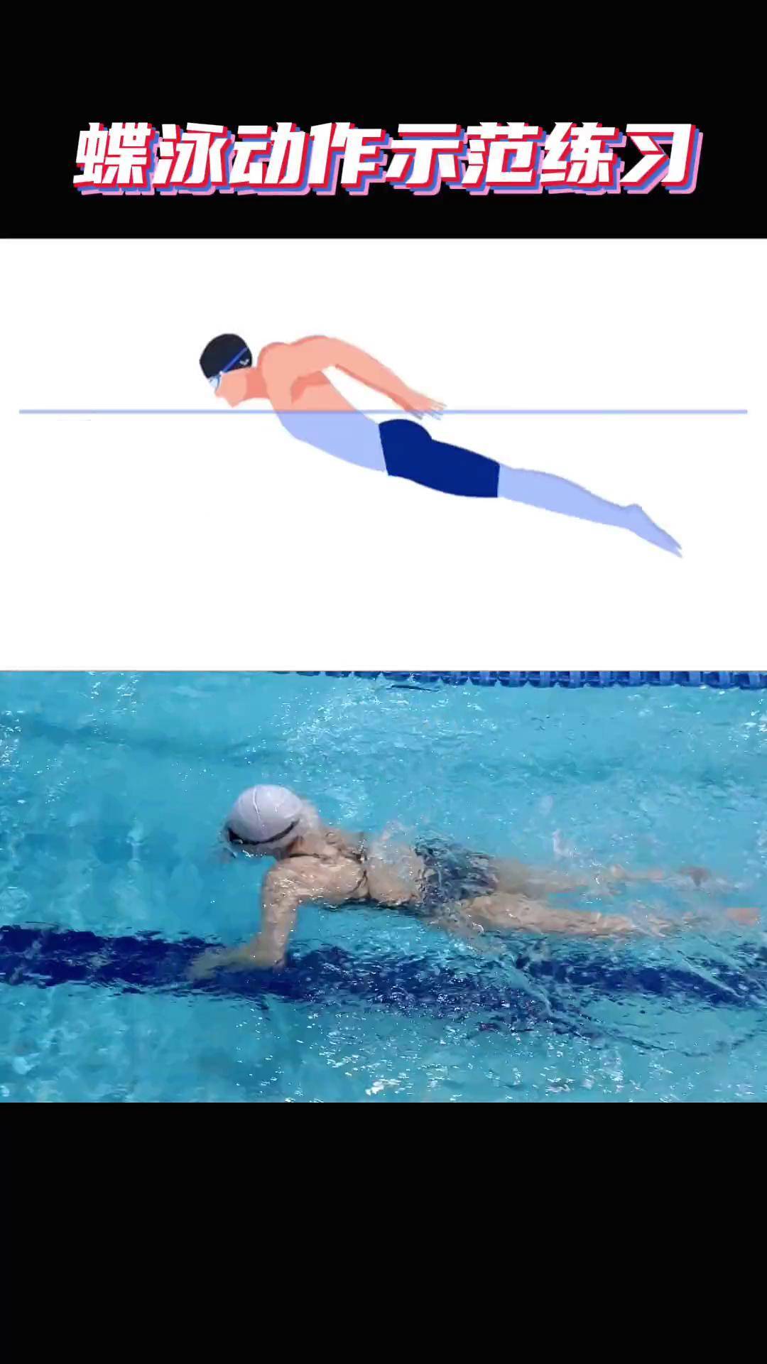蝶泳是四种泳姿中最为好看的泳姿,快来感受蝶泳的力与美游泳技巧 蝶泳