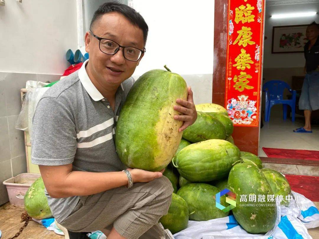 合水“新红宝”大西瓜上市啦!_西瓜地_诈骗_李姨
