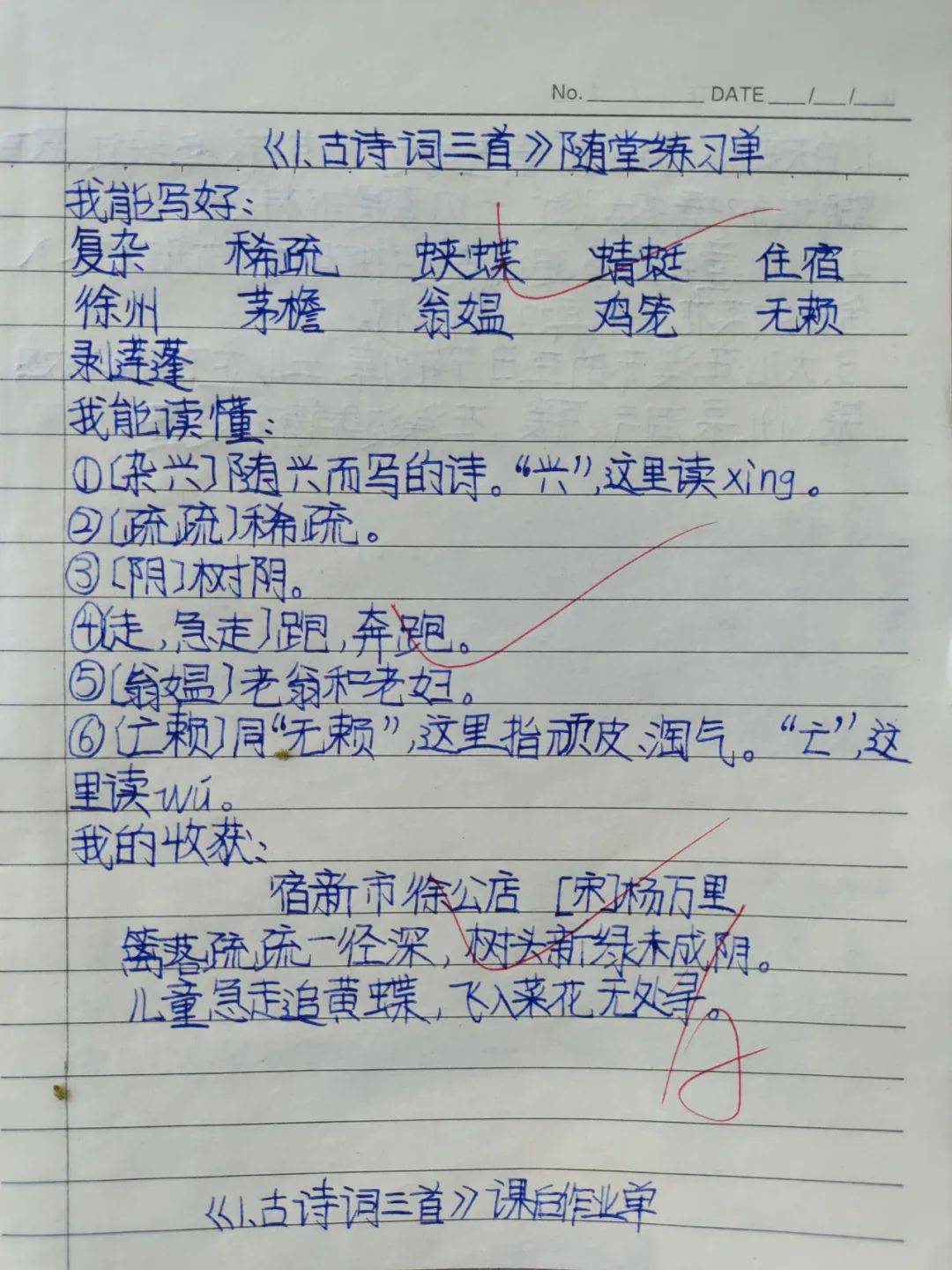 全环境立德树人 晒最美作业