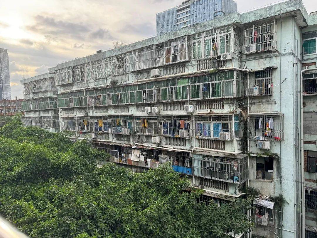 “网红”学区房,跌剩零头_深圳_小区_片区