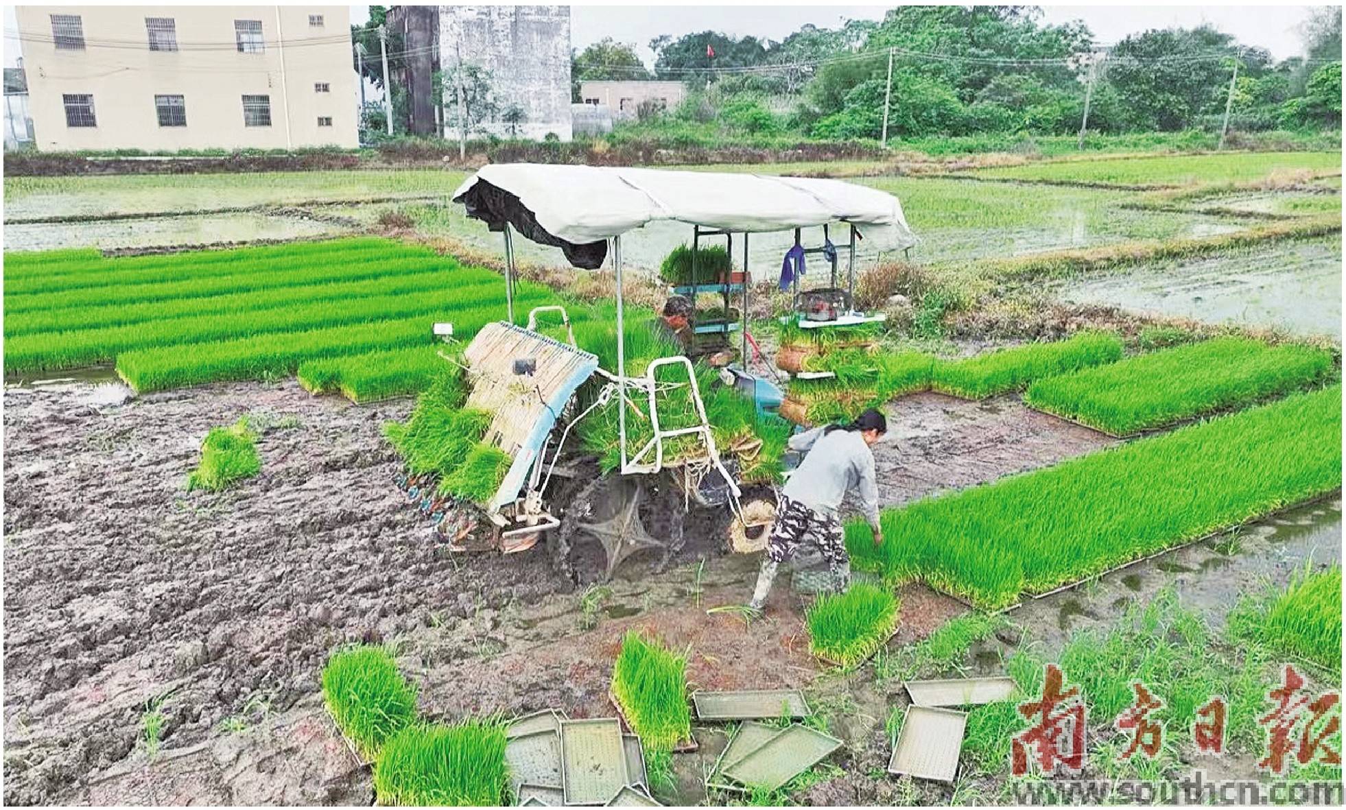 从新手小白 到农场多面手