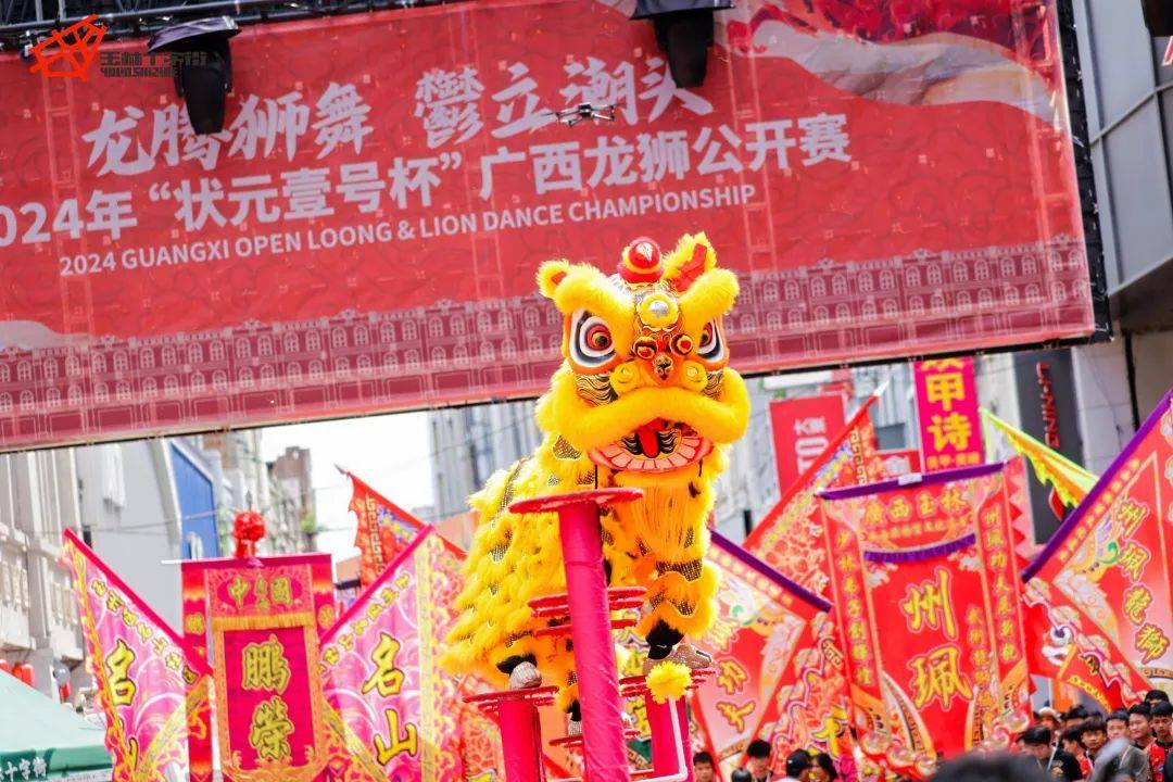 鼓声震天，龙狮共舞！2024年广西龙狮公开赛隆重开赛_文化_玉林市_体育