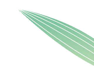 我们学术追求,生机勃勃住在8舍305房间的三位园艺学院的直博生唐柯