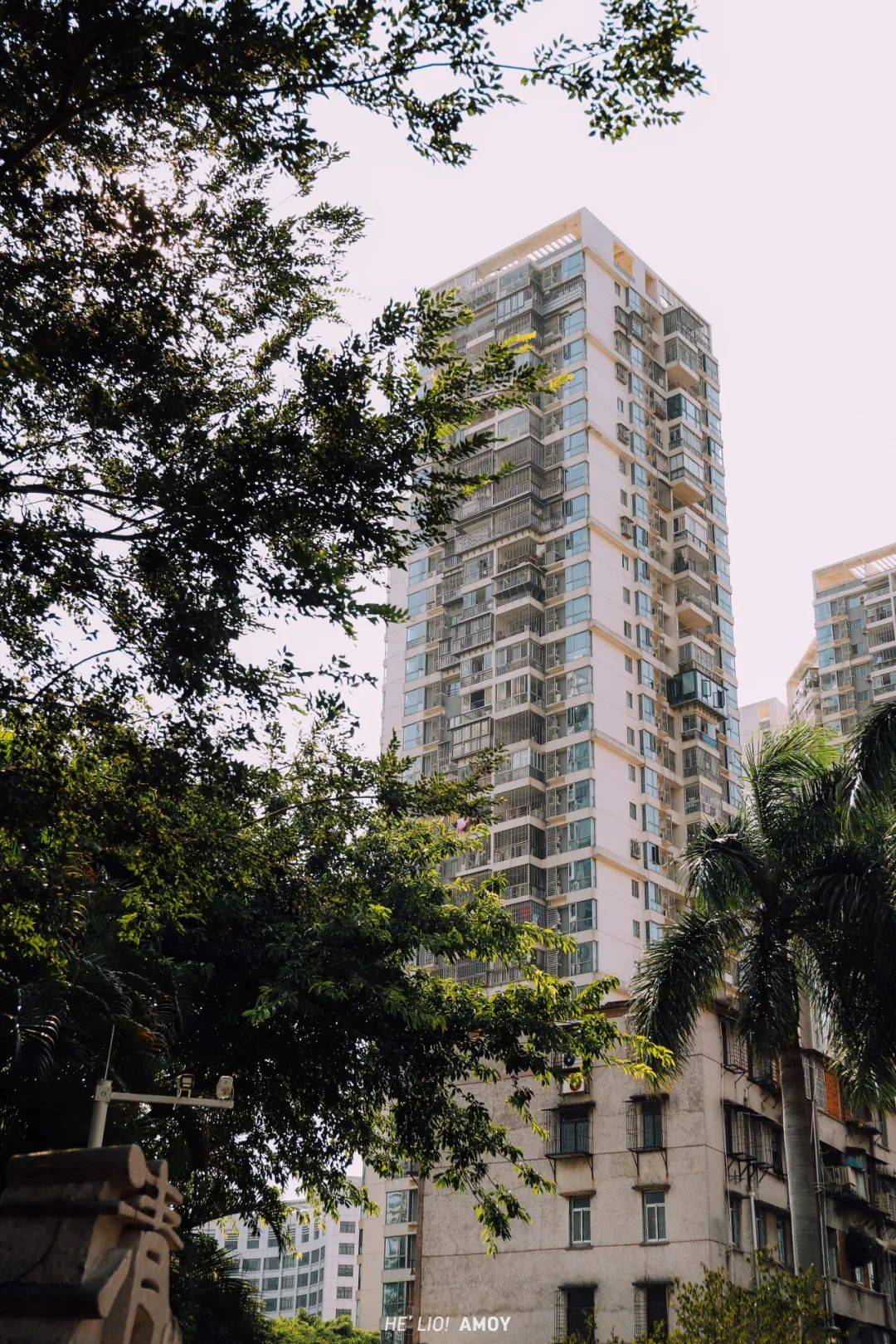 真羡慕,住在这的厦门人!荒废多年的老铁路变身动漫里的隧道!