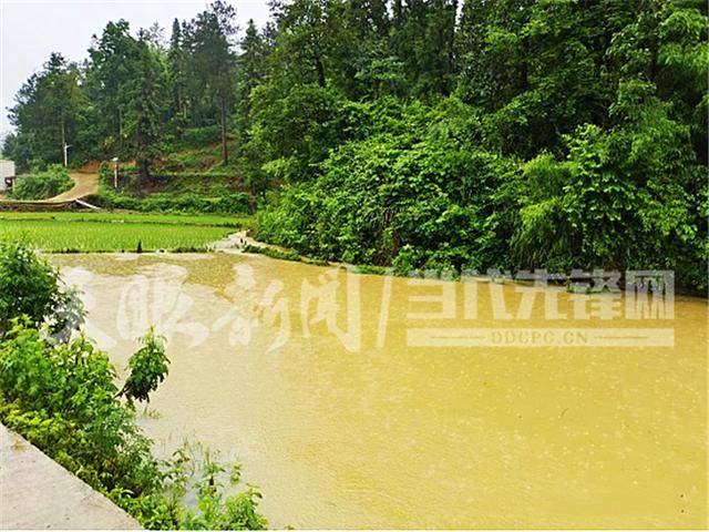 「天眼问政·记者帮你问」以"迅"应"汛" 乌当区各级部门多举措守护