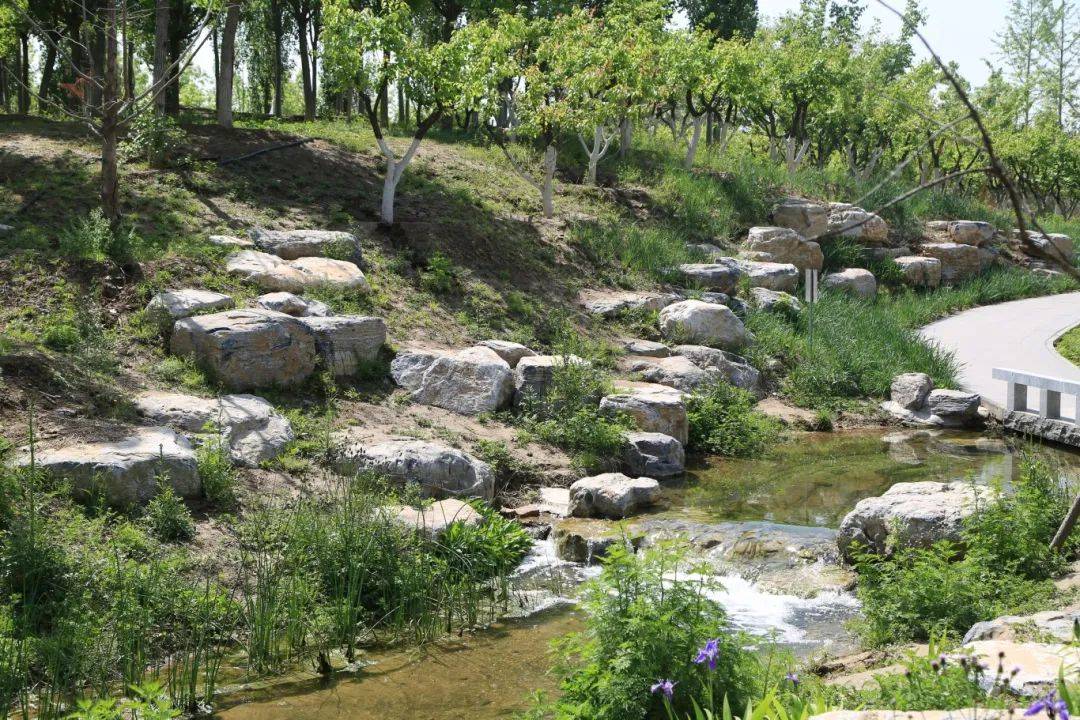 走起~来海淀这个新晋网红打卡地!