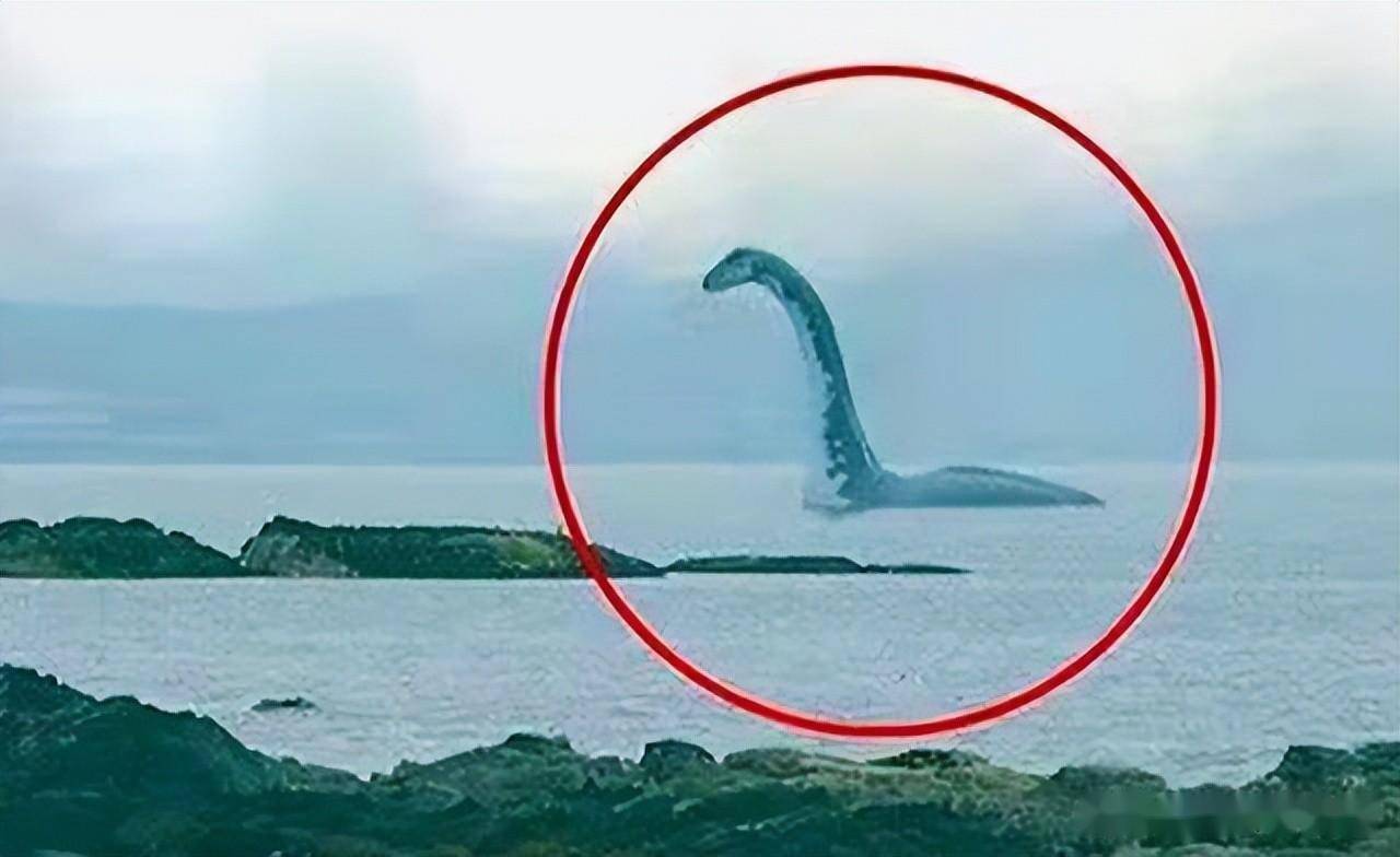什么东西?长白山天池再现"不明生物",游客拍到诡异画面
