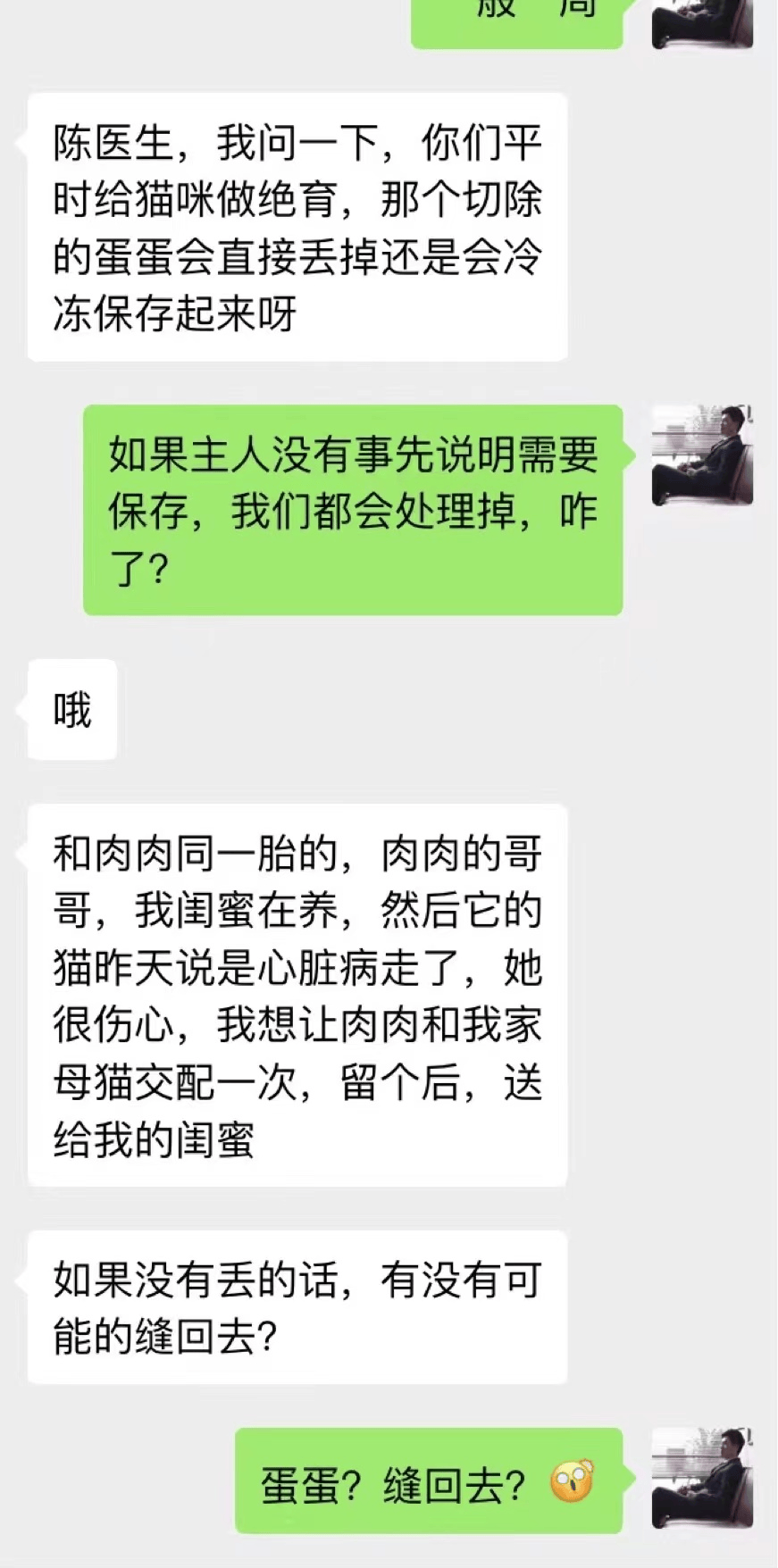 " 给猫咪绝育的蛋蛋能不能再缝上去?怎会如此离谱.
