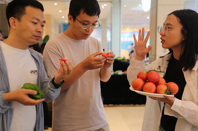 丰富多彩 蔬菜新品种观摩会在北京丰台举办
