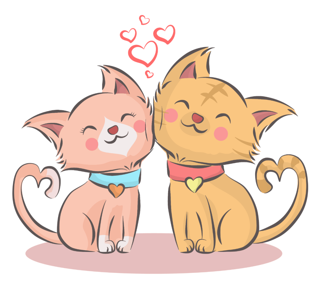 怀孕养猫狗竟然会变成这样?