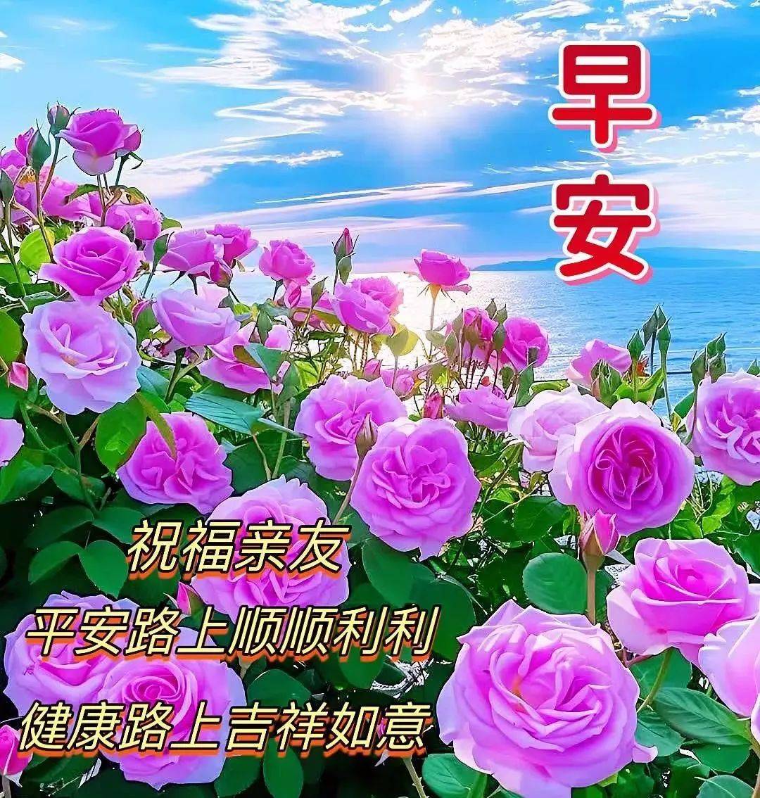 搜索最美的早上好图片图片