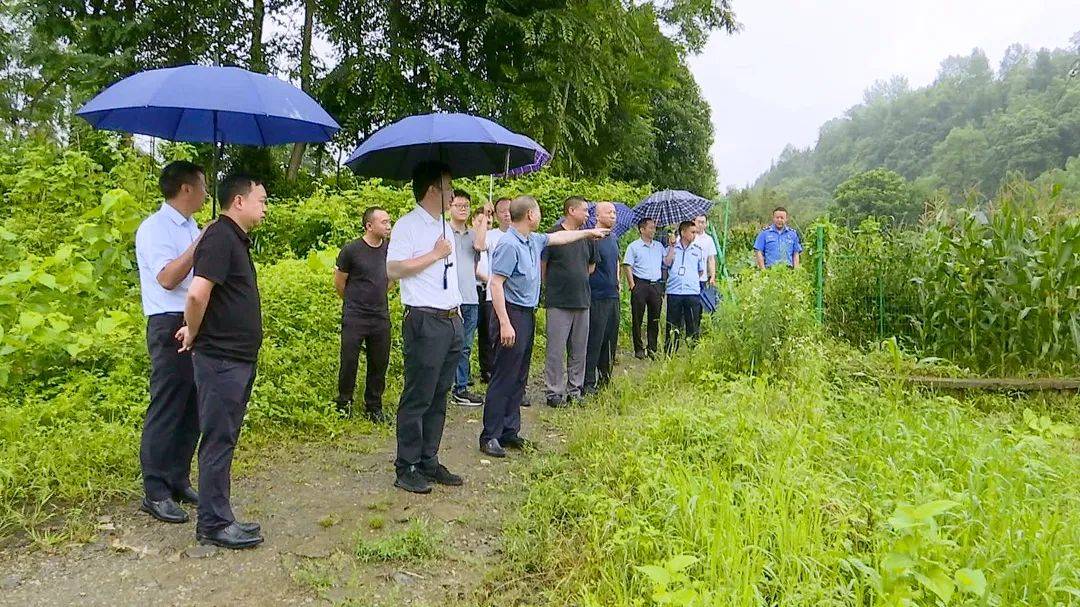 6月26日,县人民政府副县长张德晏