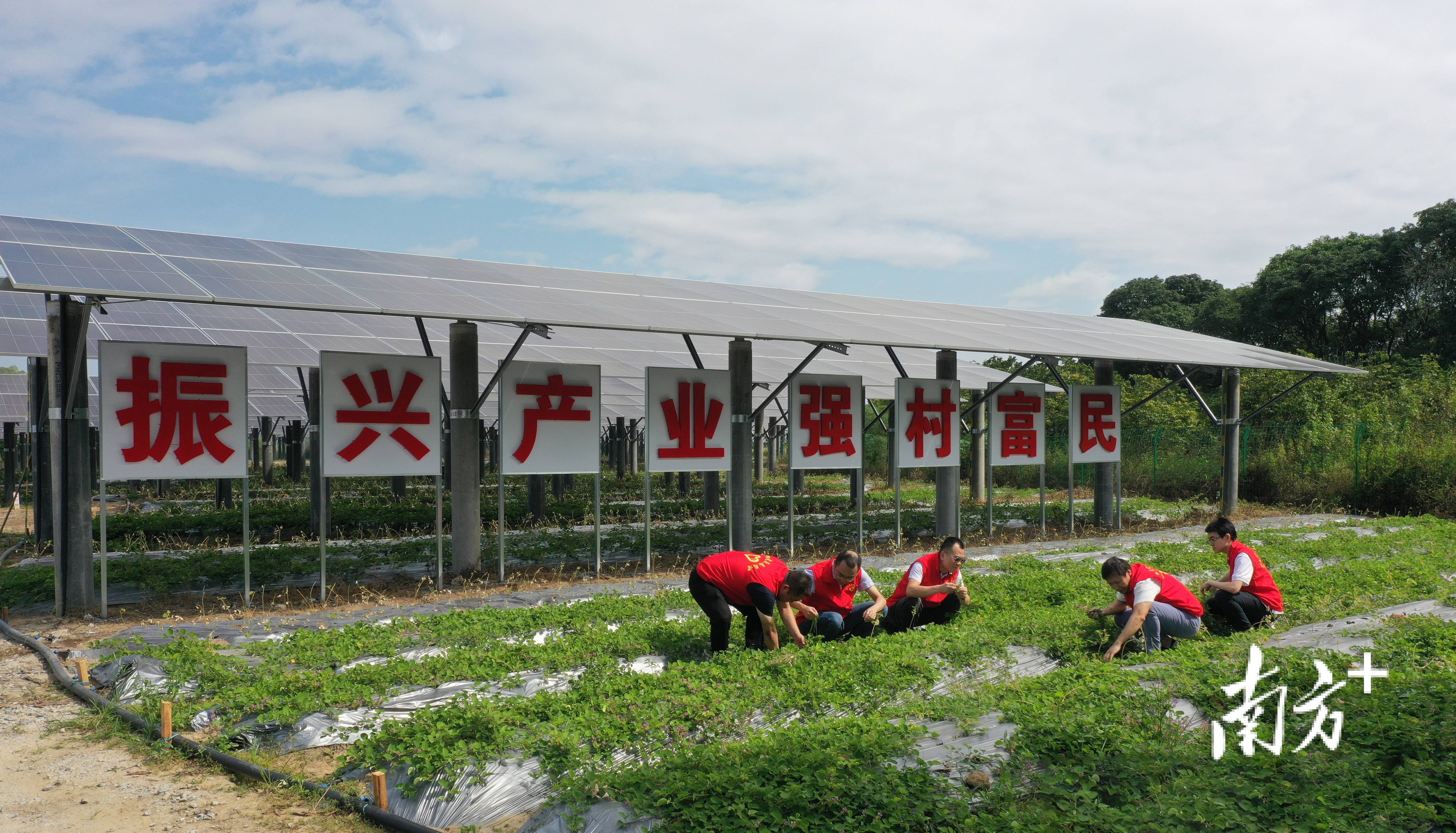 搜狗：2024年新澳彩开奖结果-重庆市第八中学校：以教育之力厚植人民幸福之本