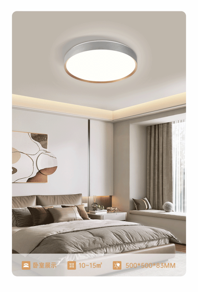 新品上市【简界系列】吸顶灯