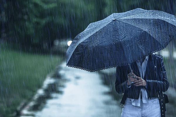 中雨转大雨图片