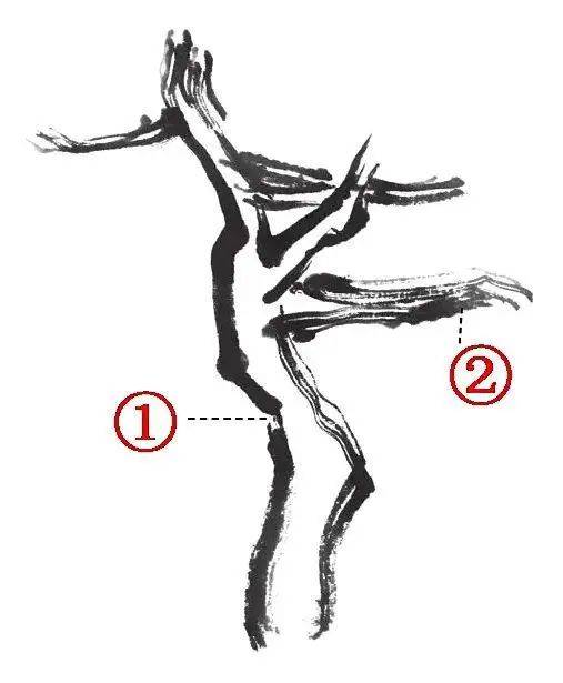 国画教程 柏树的3种画法