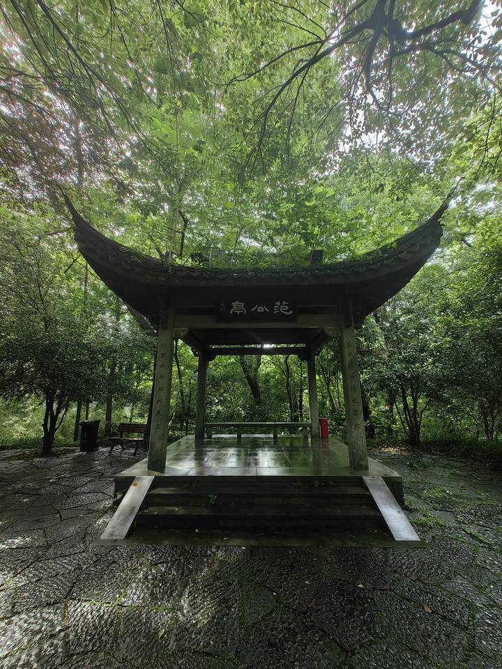 晚潮|写生西湖名人之林和靖:梅妻鹤子的情怀与情长