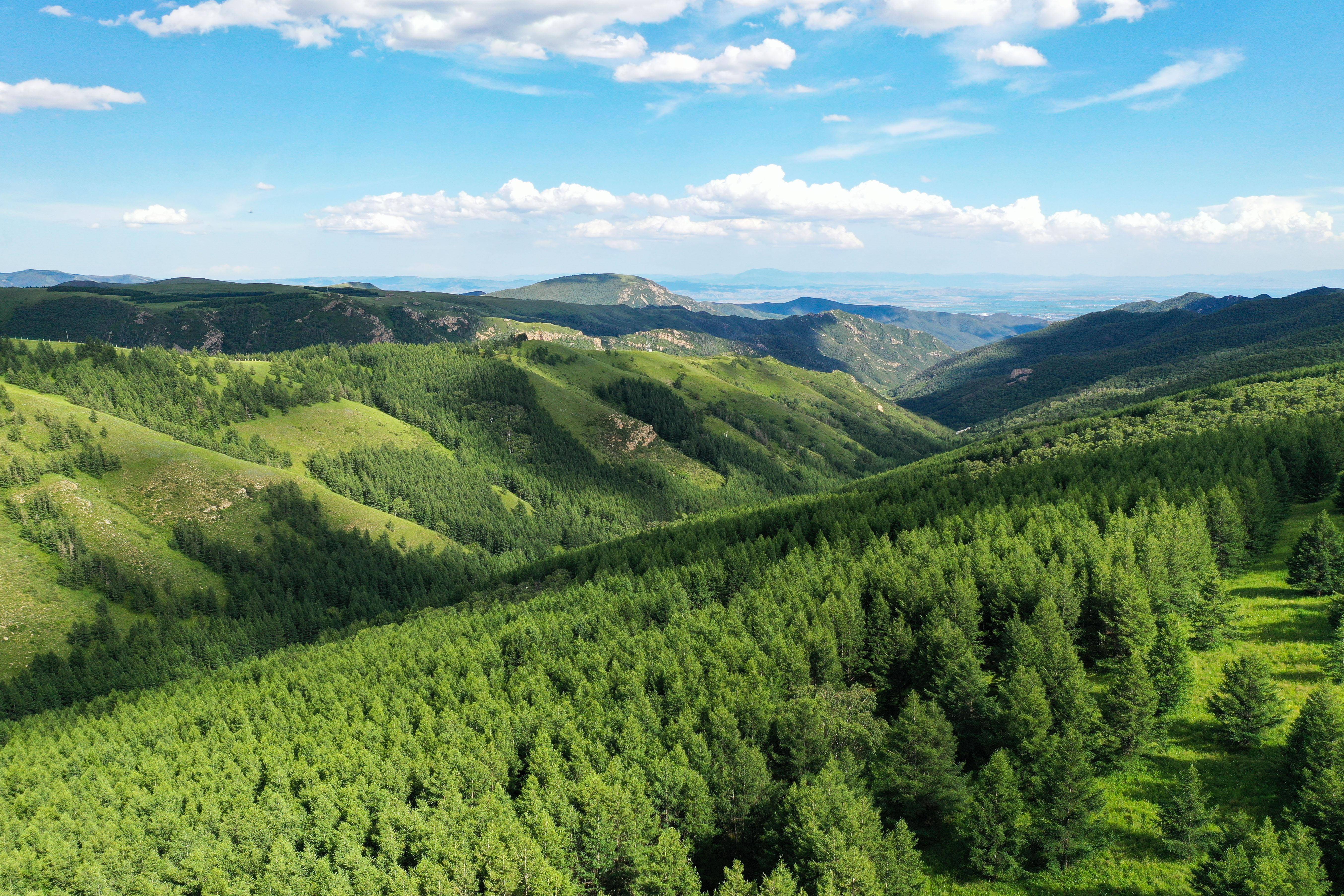 夏日大青山_新华社_自然保护区_内蒙古自治区