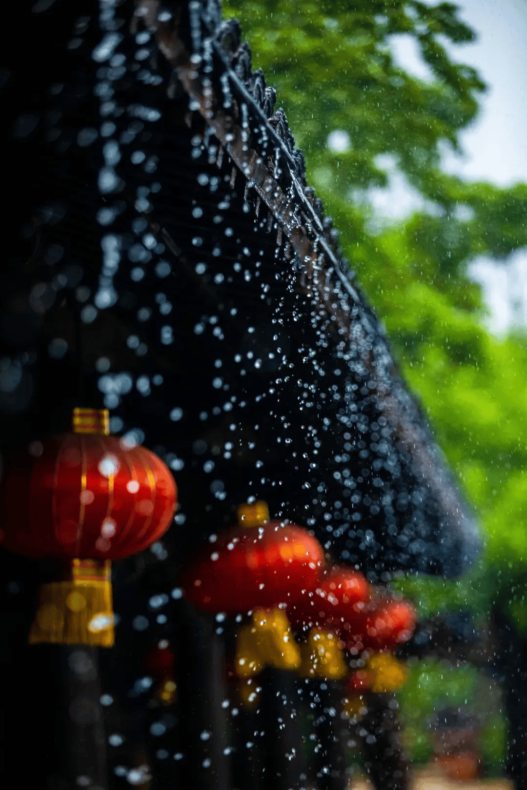 细雨在古城的黛瓦与屋檐间悄然聚集,然后如丝如缕地滑落,宛如给每一座