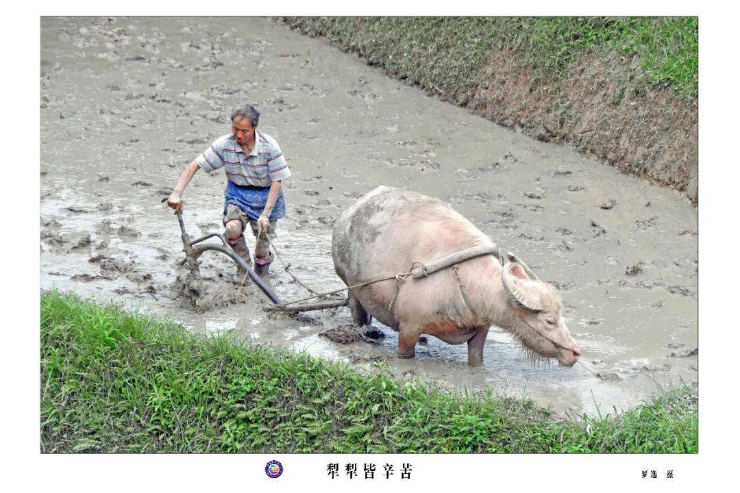 新快报:最准一肖一码100%香港78期-以文润城 厚植民生底色——松原市宁江区文化事业蓬勃发展侧记