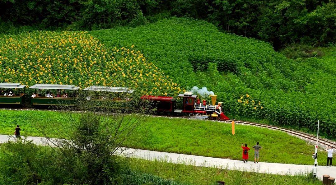 享清凉,品美食,赏美景……曾家山旅游"上新" 啦!