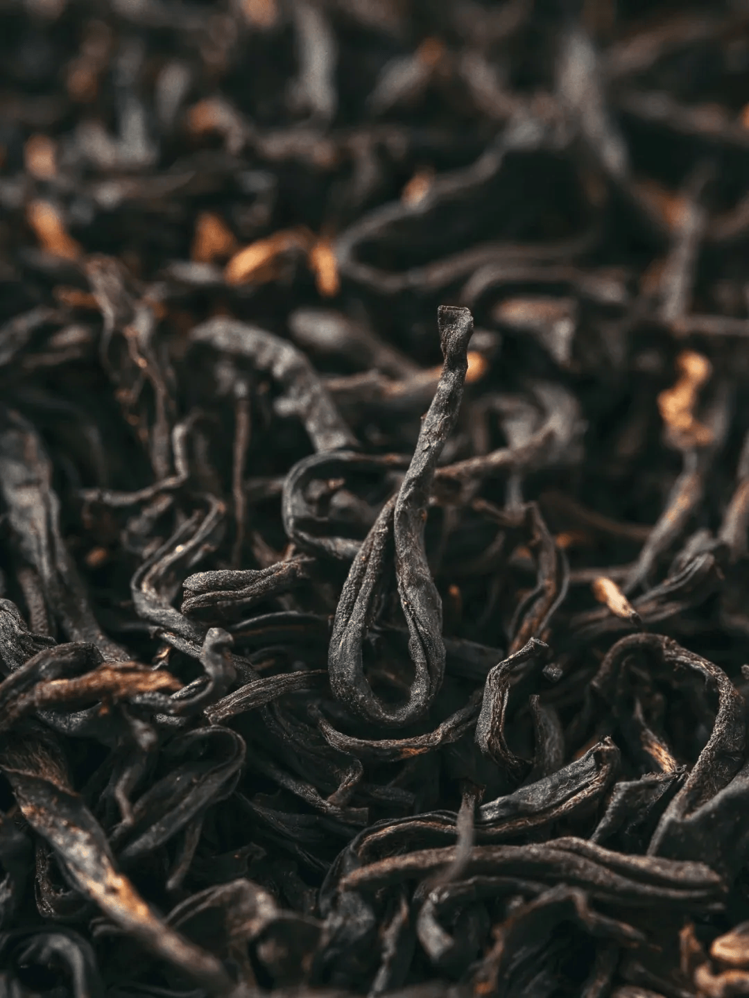 遵义!世人皆知酒香飘世界,其实它的茶香也醉人