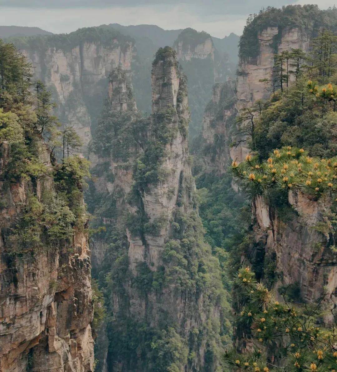 阿凡达张家界取景地图片