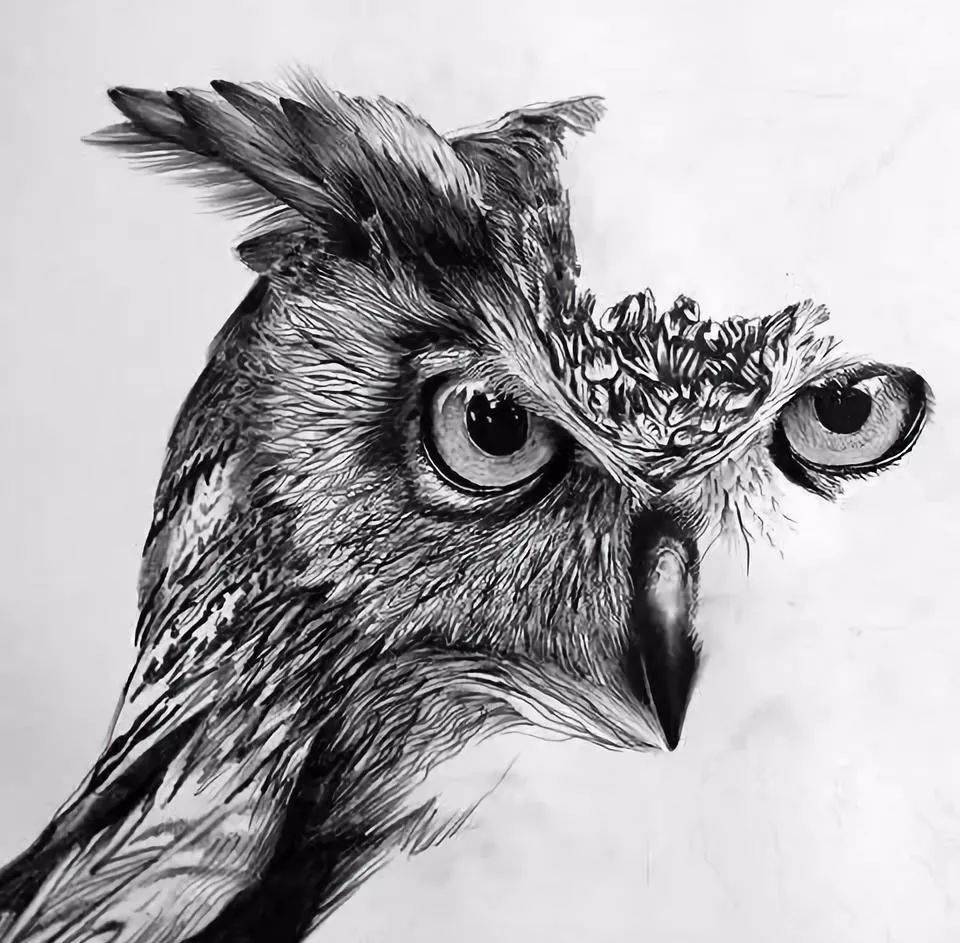 会画素描的人很多但将素描画得这么出神入化的却很少画家超写实素描以