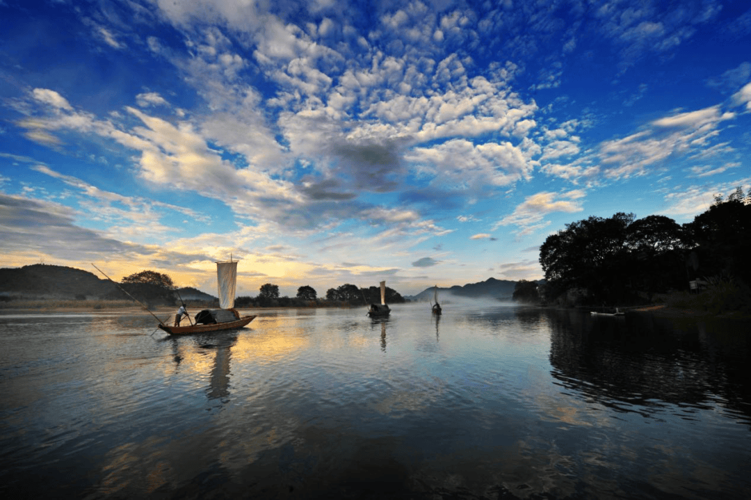 "浙丽"玩水city不city①|夏日炎热,快来这里"莲"连看!