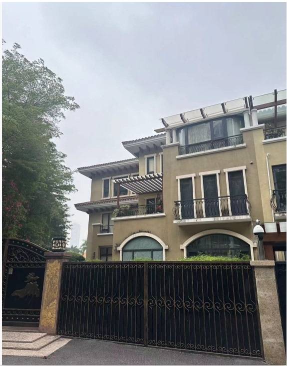 "深圳最贵法拍房"2.32亿元成交,单价50万元/㎡!豪宅法拍房为何火热?