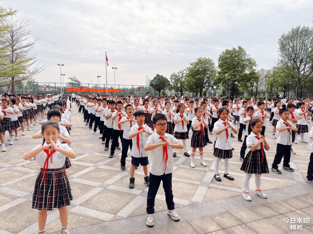 钦州二中教育集团·钦南区金棕榈小学2024年教师招聘公告