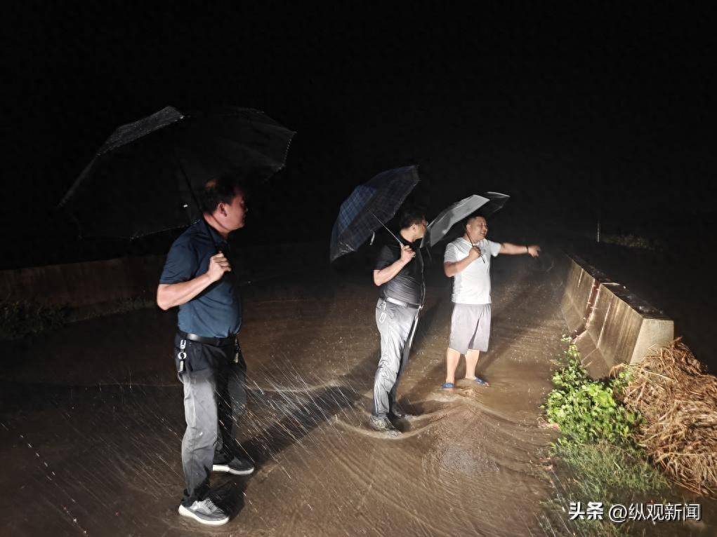 唐河县桐寨铺镇:闻"汛"而动 筑牢防汛"安全堤坝"