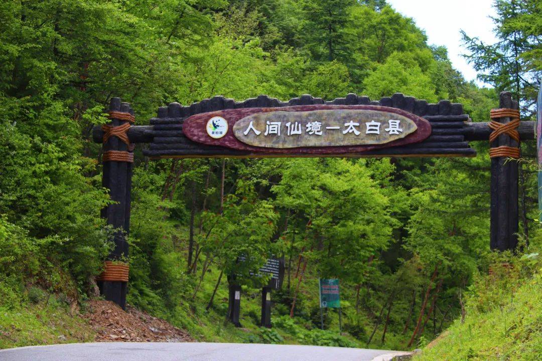 汇聚太洋公路青峰峡国家森林公园黄柏塬原生态风景区人少景美还凉快