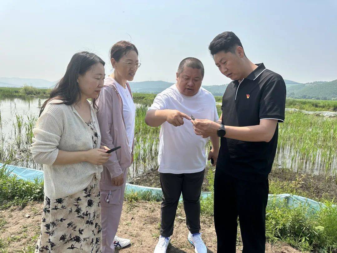 黑土来新客寒地小龙虾落户呼伦贝尔