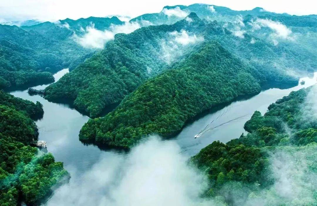 【"四新""四化"新道真】阳溪镇:绿满山川织锦绣