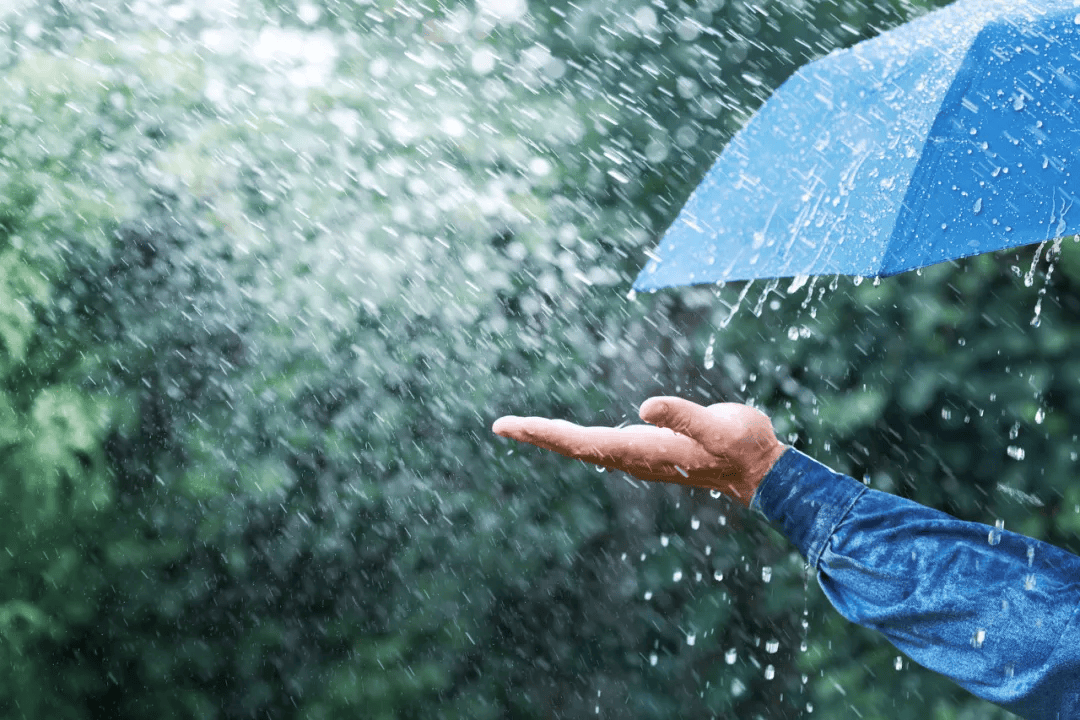 周末雨袭,降雨模式开启→_预报_中雨_多云