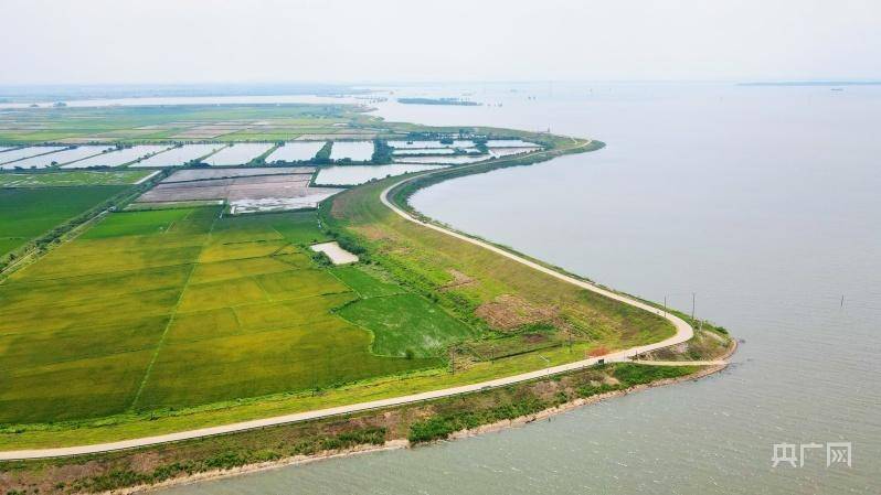 92米.鄱阳湖沿岸的防汛压力大,堤坝上的防汛工作仍然不能松懈.