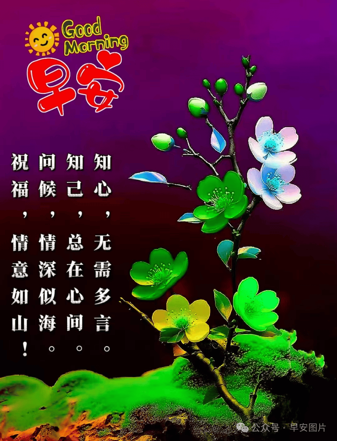 天天好祝福图片大全图片