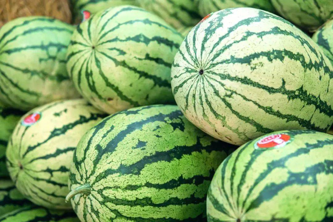 【银座钢城店】坚韧不屈的宁夏硒砂瓜,已冲破砂石的阻力,抵达银座超市