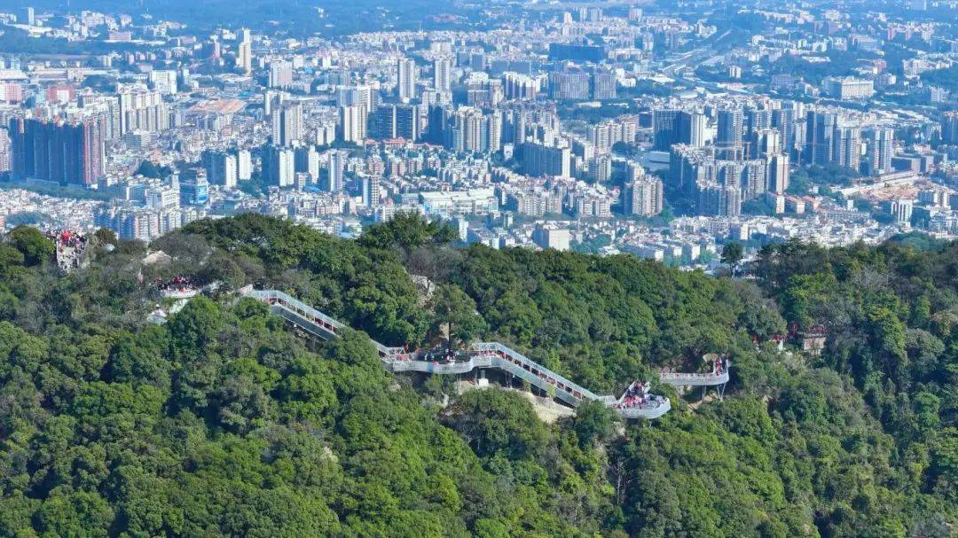 白云山绝美水上栈道,全新开放!