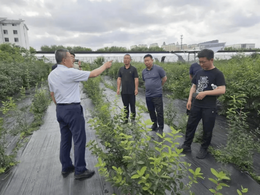 杨宇航简介图片