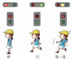 3,穿越马路,要遵守交通规则,做到红灯停,绿灯行,黄灯亮了等一等;在没