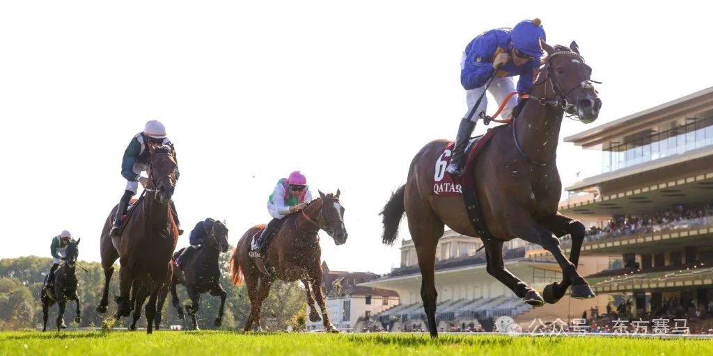 2021年4月11日,骝色,雄马)▲图/jairs总奖金:65万欧元看点:德国三冠赛