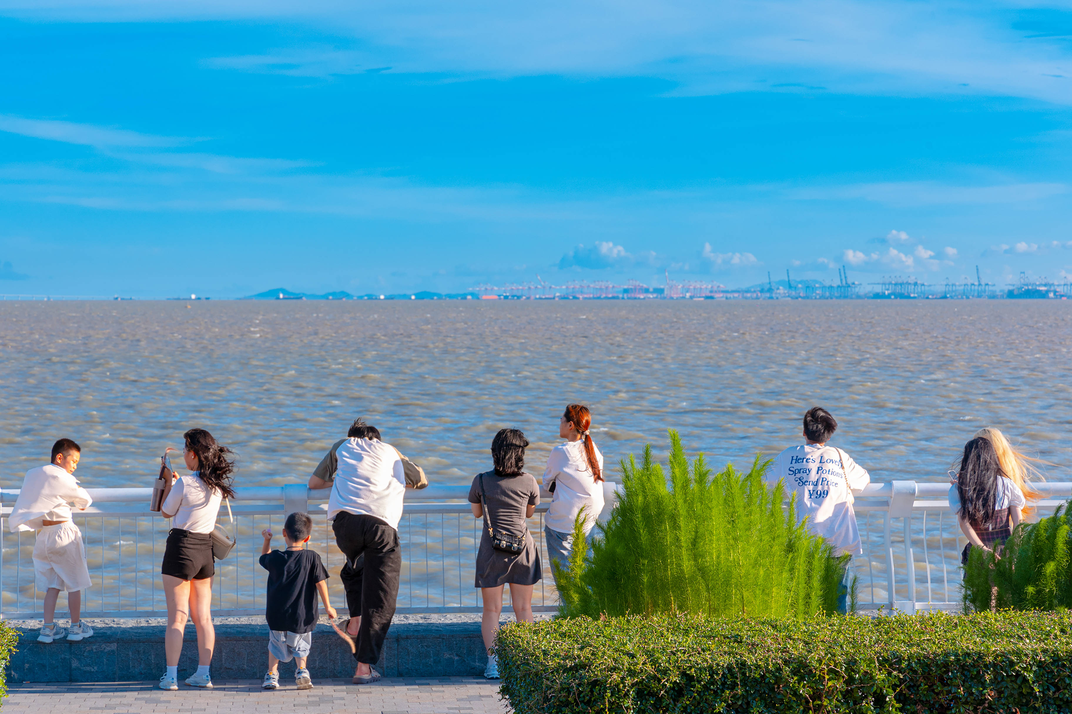 天空_公园_夏日